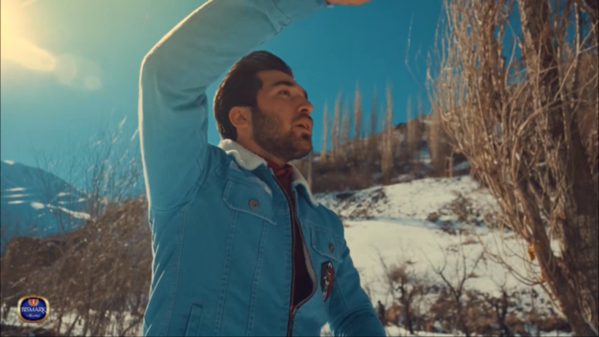 بیسمارک